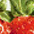 Предпросмотр схемы вышивки «ягодки» (№539395)