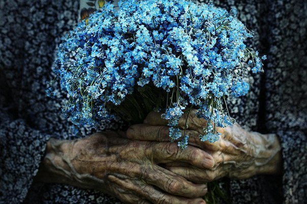 Мамины руки - руки, мама, цветы - оригинал