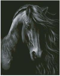черный конь - конь - оригинал