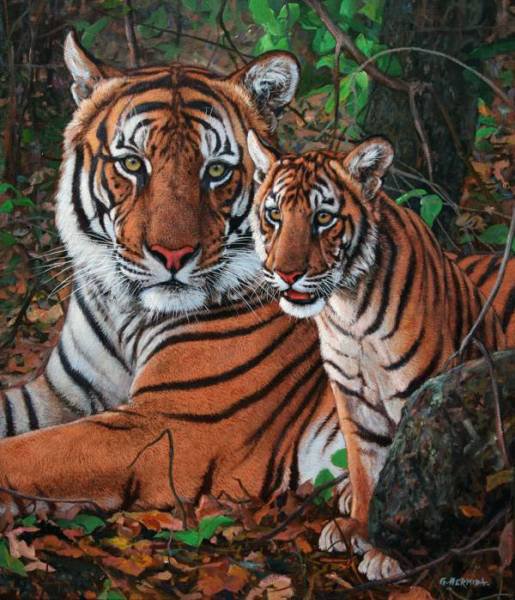 тигры - картина - оригинал