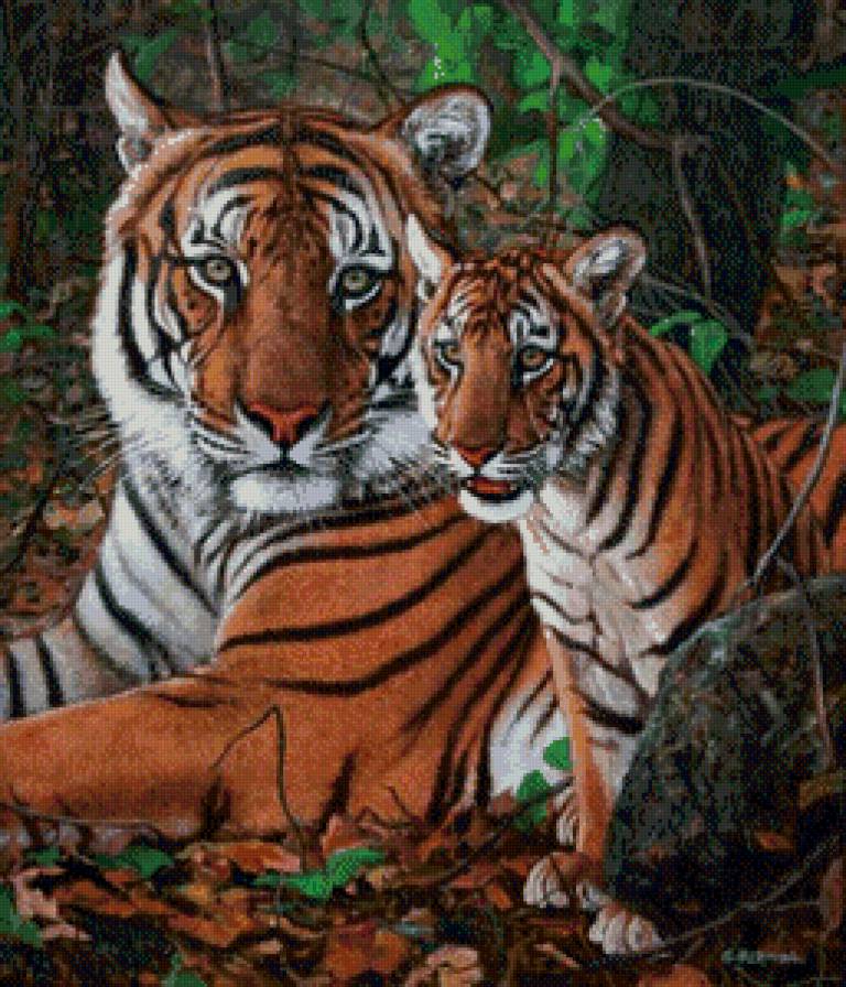 тигры - картина - предпросмотр