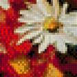 Предпросмотр схемы вышивки «леонид Афремов полевые цветы» (№540045)