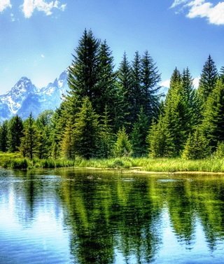 лесное озеро - природа, лес, горы, озеро, пейзаж - оригинал