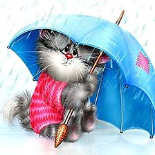 Котенок под дождиком