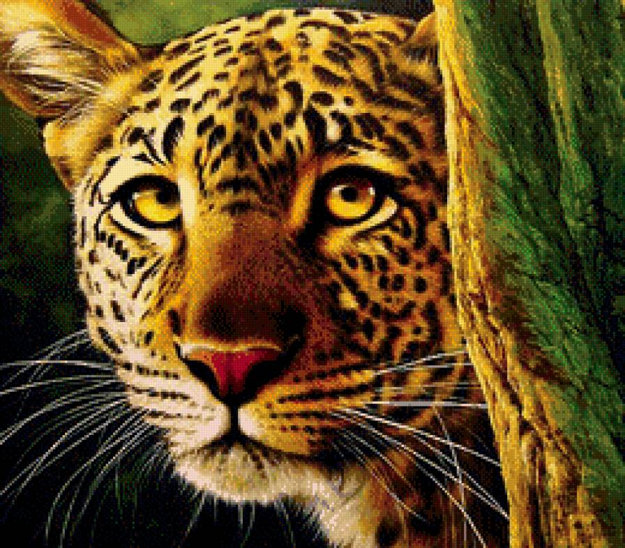 Взгляд леопарда - хищники, животные, леопарды - предпросмотр