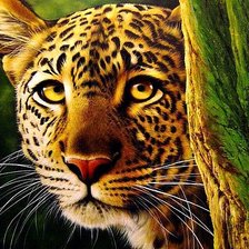 Оригинал схемы вышивки «Взгляд леопарда» (№540271)