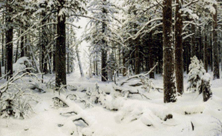 зимний лес И.Шышкин - ели, природа, лес, зима, дерево, елки, сугроб, пейзаж, сосна, снег - предпросмотр
