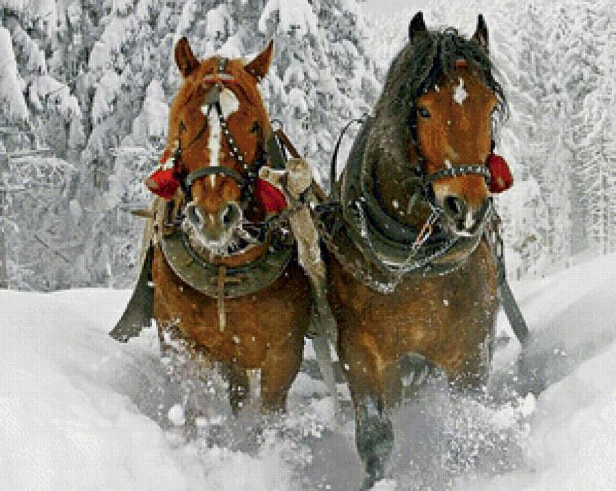 зима - снег, сугроб, пейзаж, кони, лошади, зима, природа - предпросмотр