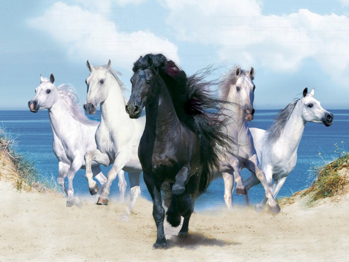 кони - табун, лошади, картина, единороги, кони, животные - оригинал