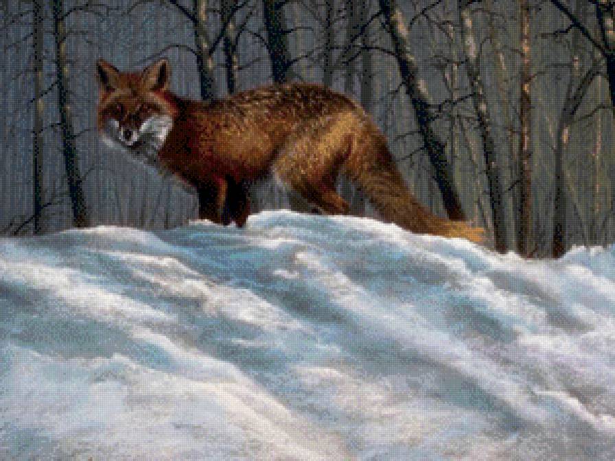 лиса - лисичка, дикие животные, зима, осень, природа, лиса, дерево, лес - предпросмотр