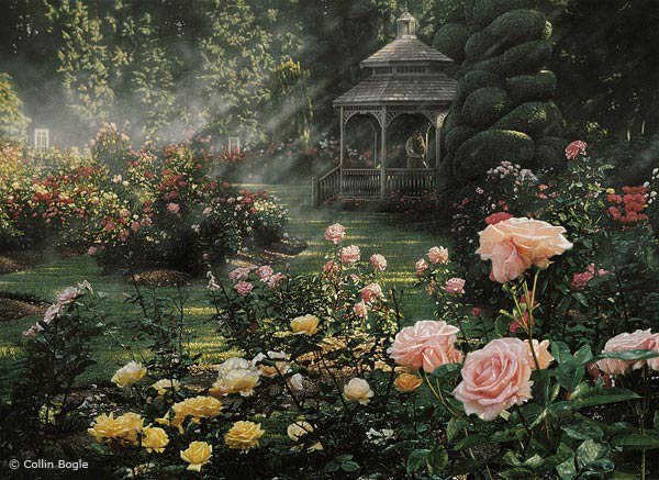 Розовый сад - цветы, сад, лето, розы - оригинал