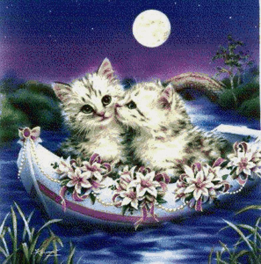 Поцелуй в лодке - поцелуй, лодка, любовь, кот, любимый - предпросмотр