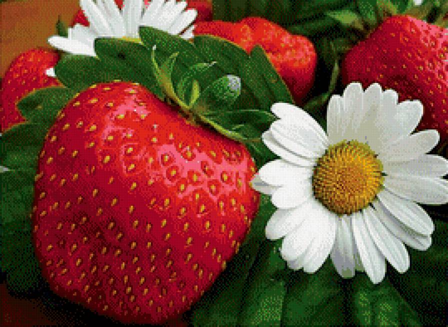 Натюрморт с клубникой - цветы, фрукты, натюрморт - предпросмотр