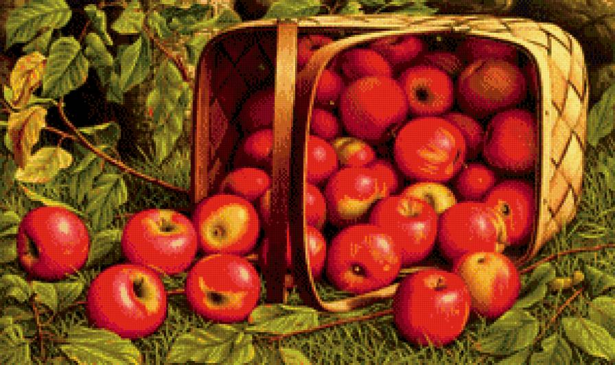 Яблоки - яблоко, корзина, фрукты - предпросмотр