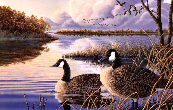 утки на озере - озеро, природа, пейзаж, утки, птицы - оригинал