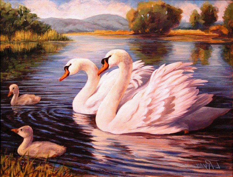 лебединая семья - природа, озеро, лебеди, пейзаж - оригинал