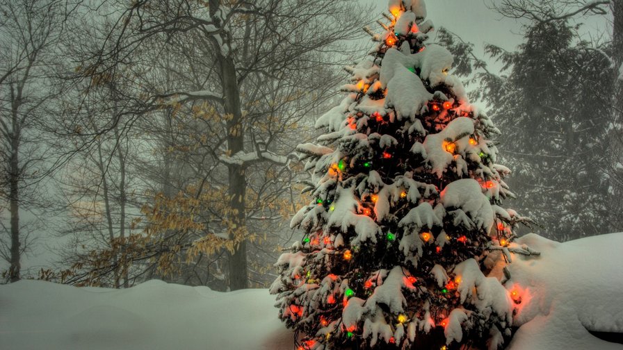 елочка - праздник, елочка, елка, ель, огоньки, зима, новый год - оригинал