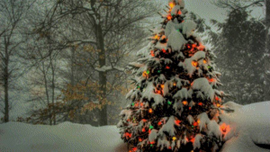 елочка - ель, огоньки, елка, праздник, новый год, зима, елочка - предпросмотр