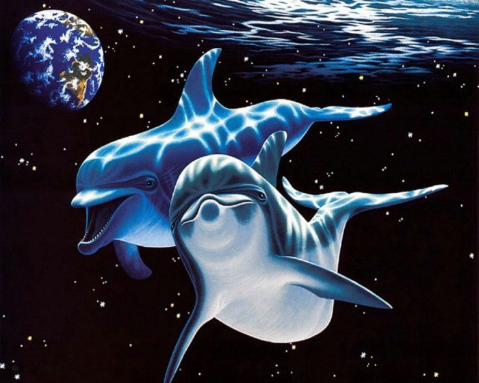 Жители подводного мира - дельфины, пейзаж, море - оригинал