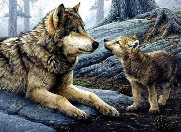 Волк учит волченка - волк, лес, природа - оригинал