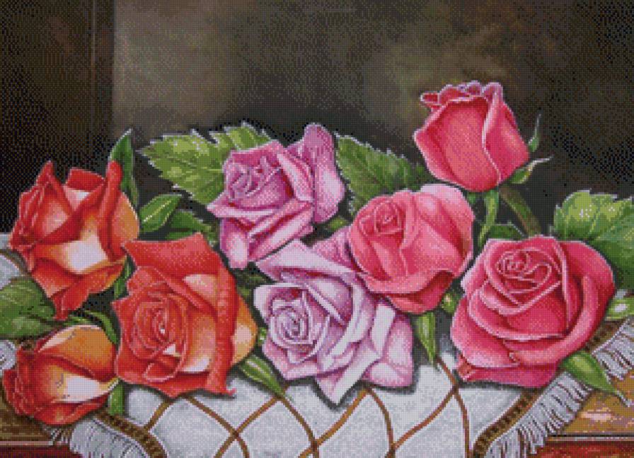 прекрасные розы - роза, букет, розы, розовые цветы, лиловые цветы, красные цветы - предпросмотр