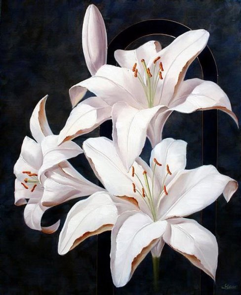 белые лилии - цветы - оригинал