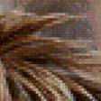Предпросмотр схемы вышивки «сип белоголовый» (№543927)