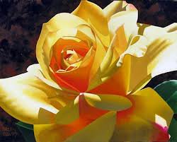 солнечная роза - желтая, цветы, розы, красиво - оригинал