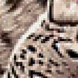 Предпросмотр схемы вышивки «Тигрята» (№544187)