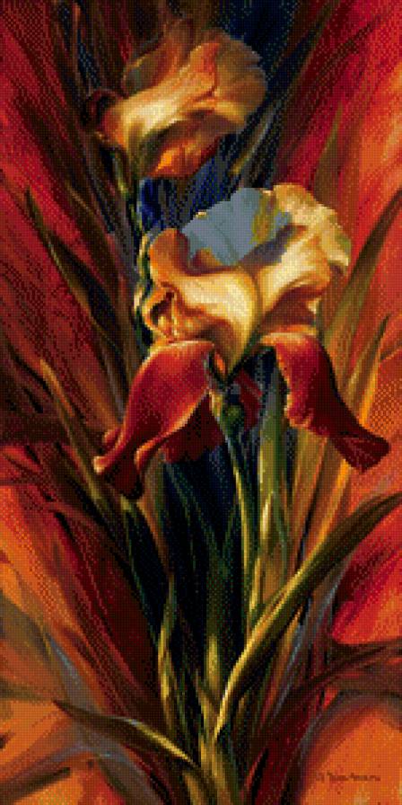 цветок ирис - цветы - предпросмотр