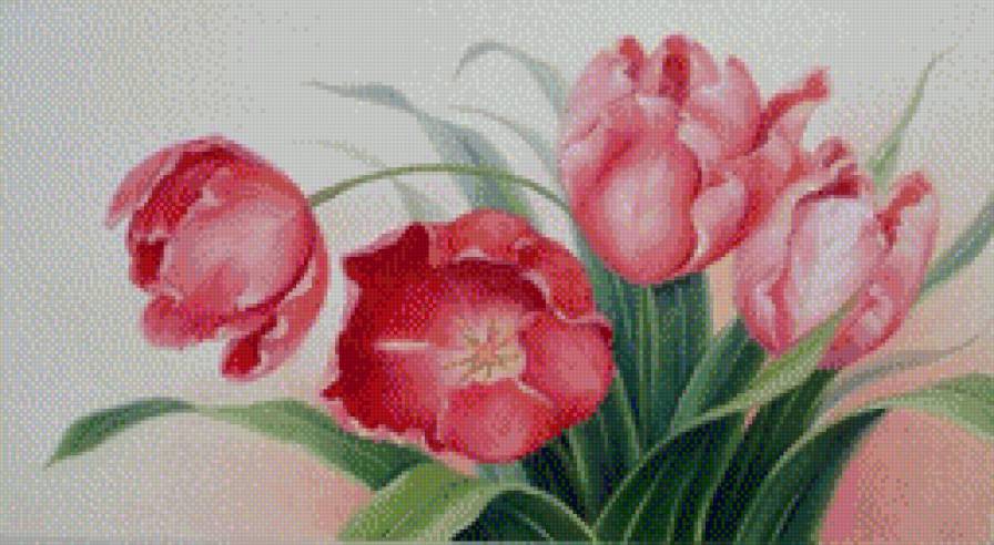 цветы - тюльпаны цветы весна красота - предпросмотр