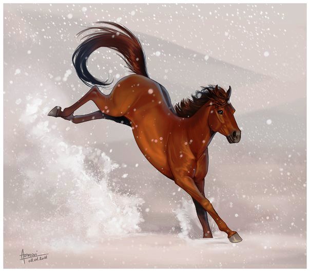 Конь - лошади, снег - оригинал
