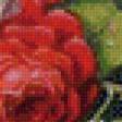 Предпросмотр схемы вышивки «розы» (№545210)