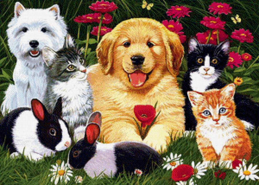 Домашние питомцы - кошки, собаки, кролики, животные - предпросмотр