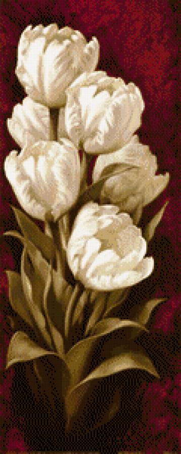 белые тюльпаны - букет, цветы - предпросмотр