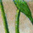 Предпросмотр схемы вышивки «натюрморт лилия в аквариуме» (№546944)