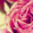 Предпросмотр схемы вышивки «Розы» (№547018)