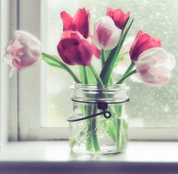 тюльпаны - цветы, тюльпаны, букет - оригинал