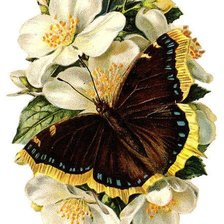 Оригинал схемы вышивки «бабочка на цветке» (№547854)