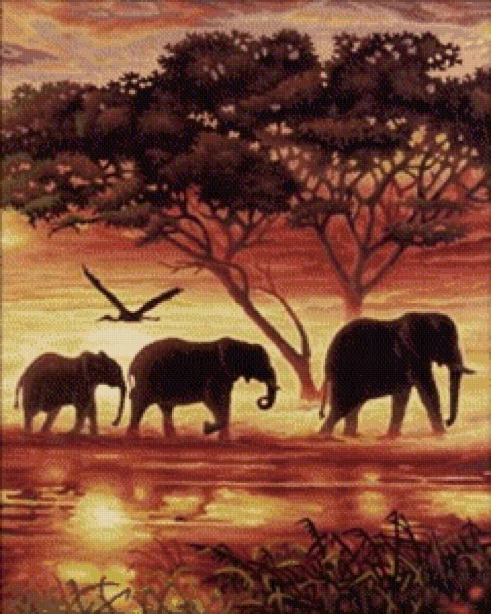 триптих слоны 2 часть - слоны, природа, триптих - предпросмотр