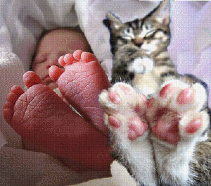 Друзья - котенок, малыш, младенец - предпросмотр