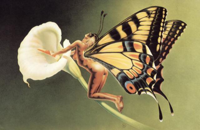 Женщина- бабочка - оригинал