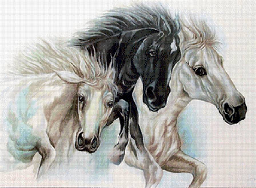Кони - животные, лошади, тройка, кони - предпросмотр