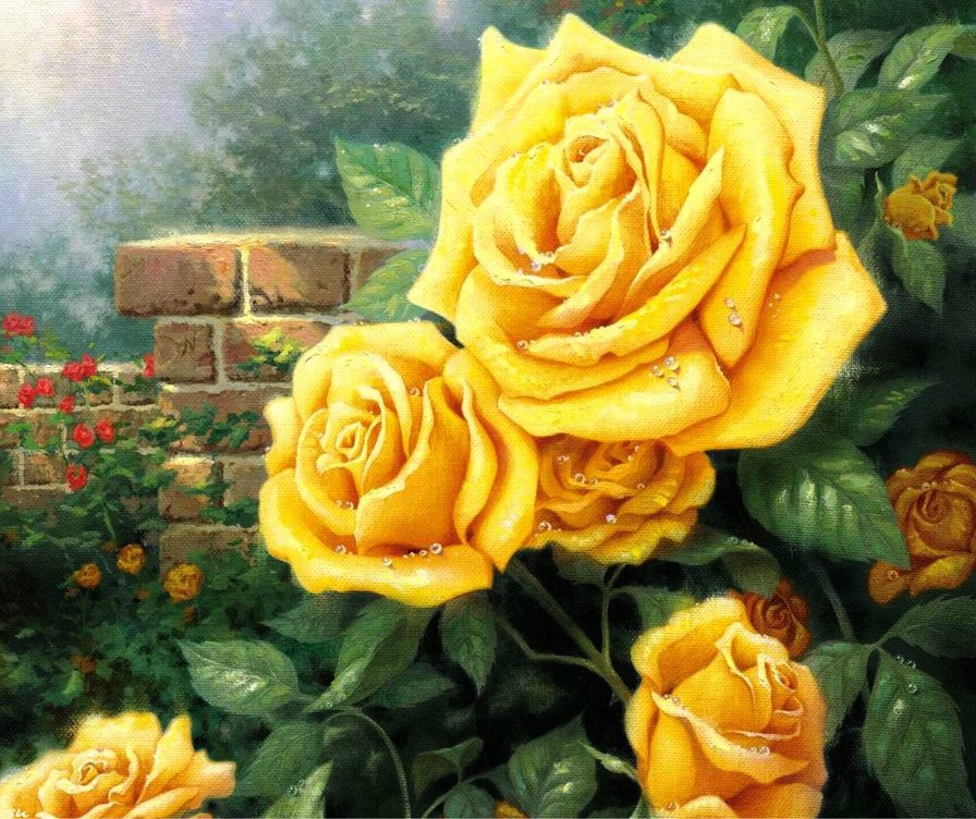 желтые розы - красота, природа, цветы, розы - оригинал