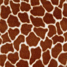 Оригинал схемы вышивки «жираф» (№549624)