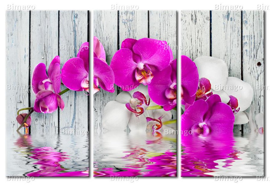Орхидея - триптих, отражение, орхидея - оригинал