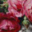 Предпросмотр схемы вышивки «Розы» (№550406)