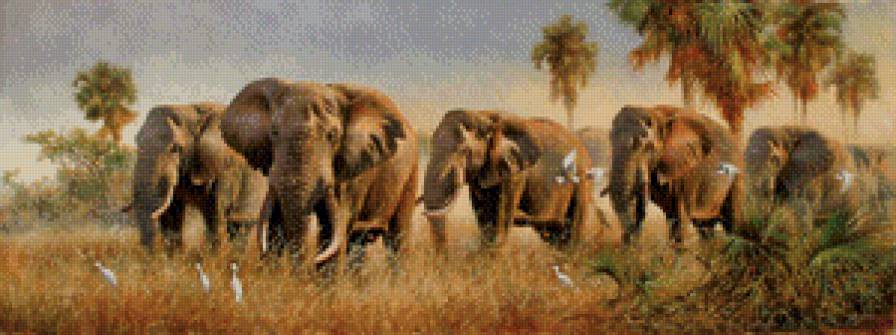 Стая слонов - животные, слон, природа - предпросмотр