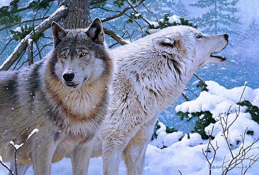 пара волков - лес, зима, волки, снег - оригинал