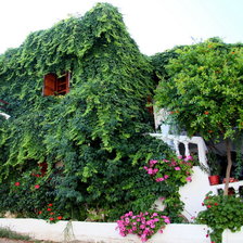 Схема вышивки «Дом в зелени Крит»
